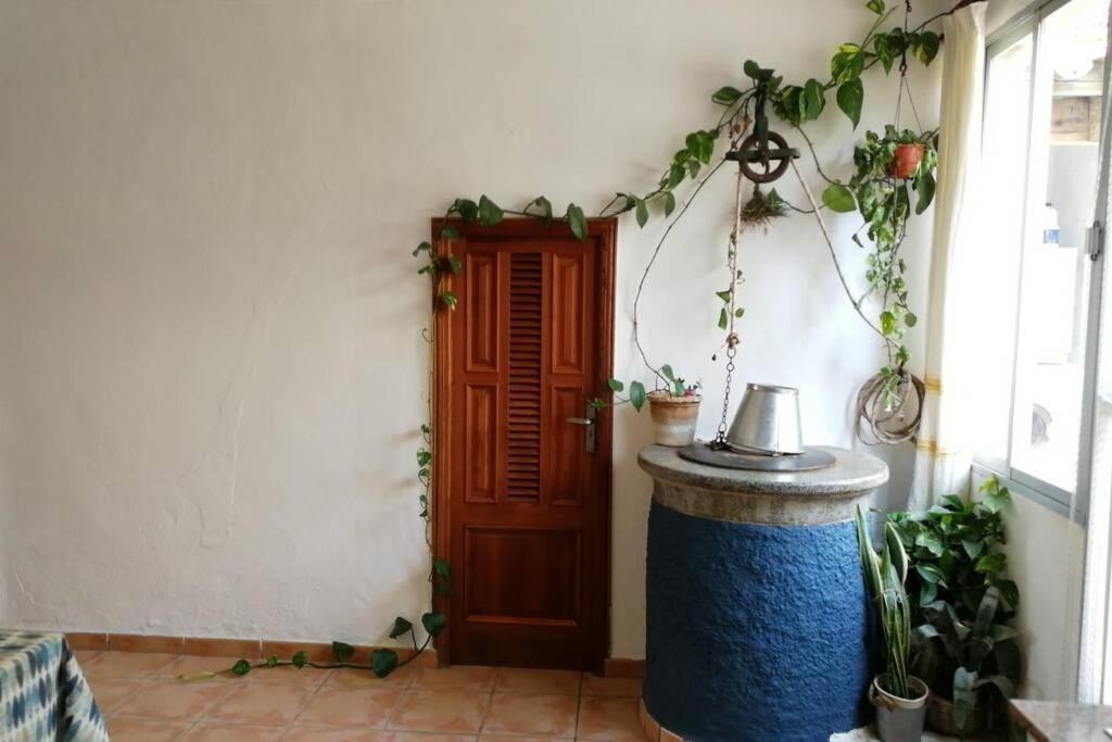 Ferienhaus Ses Venes 1 María de la Salud